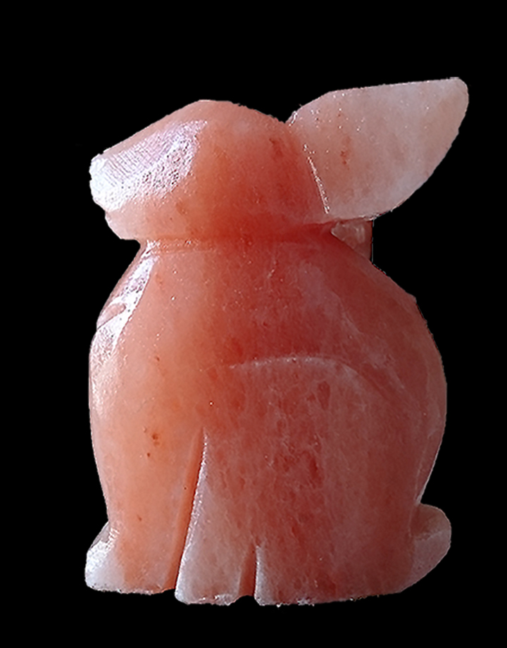 Himalayan Crystal Rock Rabbit Shaped Crafted Lamp 